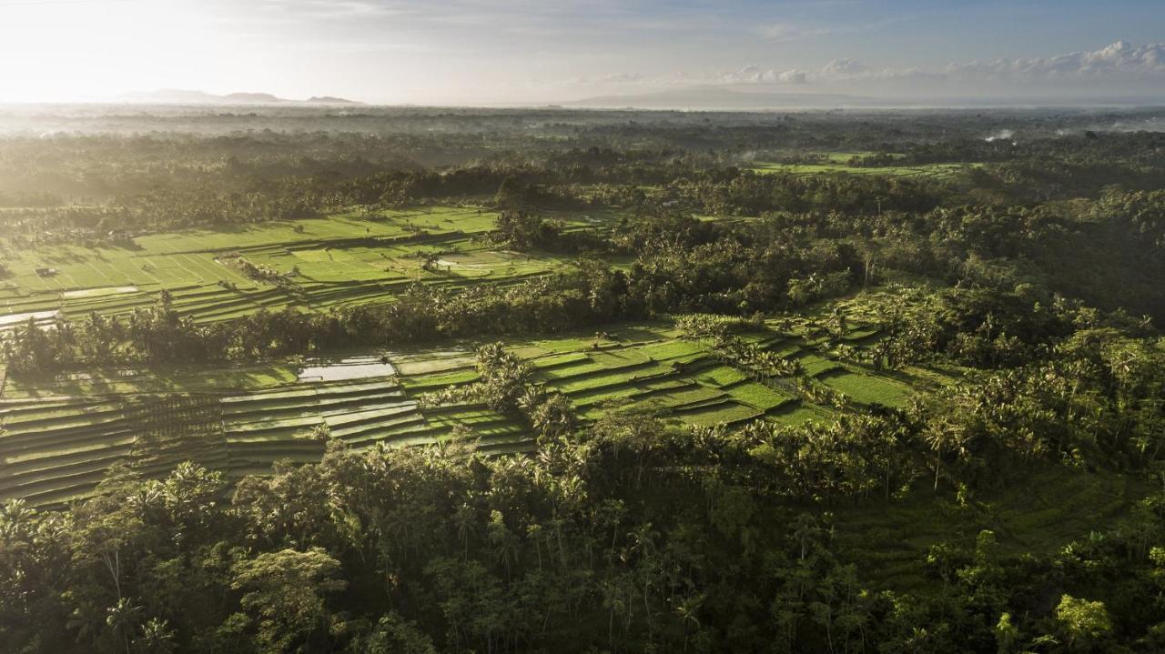 Como Shambhala Estate Payangan Kültér fotó