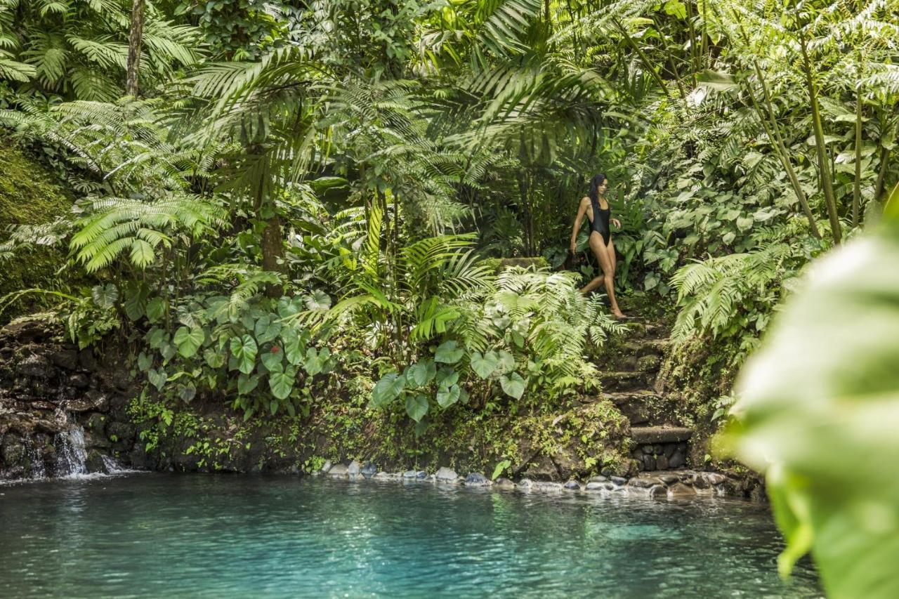 Como Shambhala Estate Payangan Kültér fotó